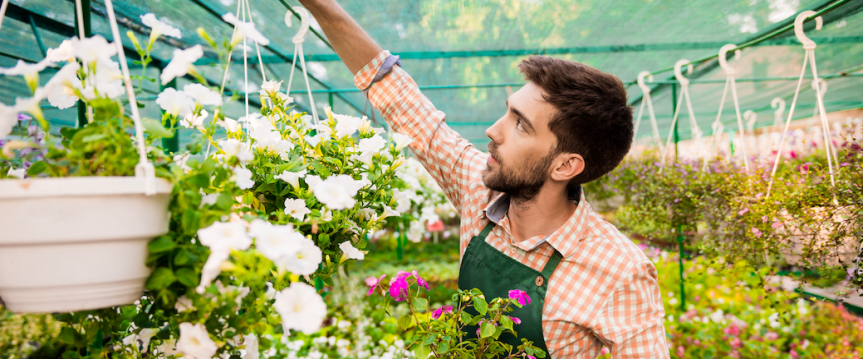 Wildbloemen zaaien in september voor een natuurlijke tuin in de lente