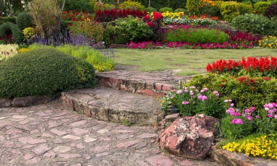 Wildbloemen zaaien in september voor een natuurlijke tuin in de lente