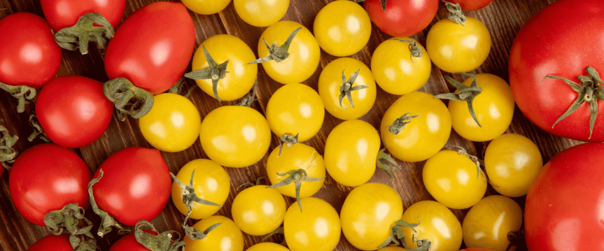 Zelf rode of gele tomaten kweken