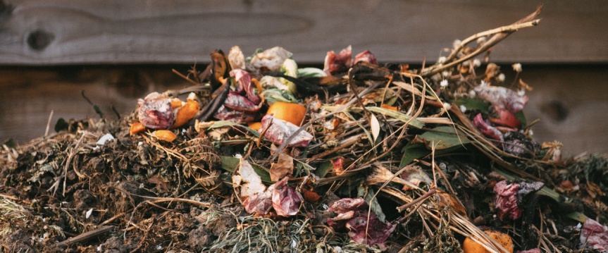 Zelf compost maken: zo doe je dat