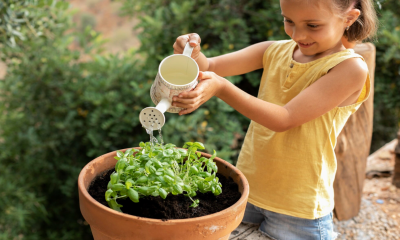 Hoe start je een moestuin op het schoolplein?