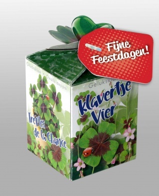Greengift Klavertje Vier met label Fijne Feestdagen!