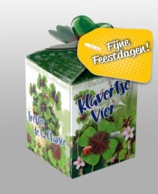 Greengift Klavertje Vier met label Fijne Feestdagen!