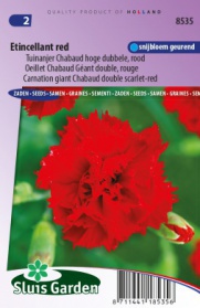 Tuinanjer Chabaud hoge dubbele Etincellant red, rood