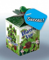 Greengift Klavertje Vier met label SUCCES! (blauw)