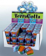 Terracotta showdoos Vergeet-me-niet 60 stuks