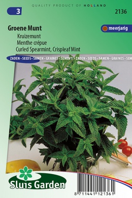 Groene Munt / Kruizemunt (Mentha spicata crispa)