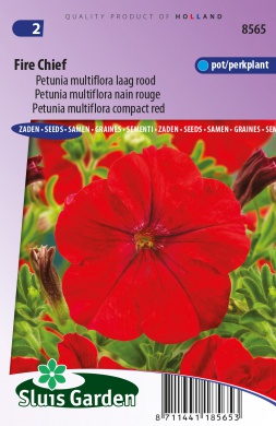 Ale verwijderen Afstudeeralbum Petunia Fire Chief, rood - Bloemen eenjarig - Producten - Alle Zaden Kopen