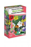 Mengsel Jaarlijkse bloemenzee Maxi-Pack