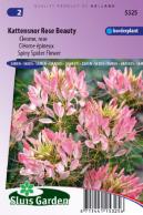 Kattensnor Rose Beauty (Cleome)