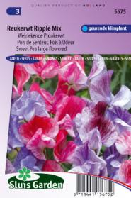 Reukerwt Ripple Formula mix (Lathyrus)