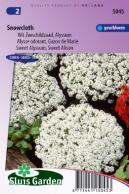 Schildzaad Sneeuwkleed (Alyssum)