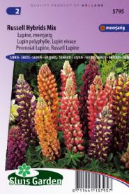 Lupinus Russell Hybrids Mix