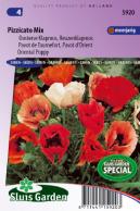 Papaver Pizzicato mix (Oosterse Klaproos)