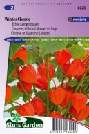 Lampionplant Winter Cherrie (Physalis)