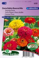 Zinnia Dahlia flowered Mix