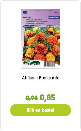 afrikaantjes bonita mix