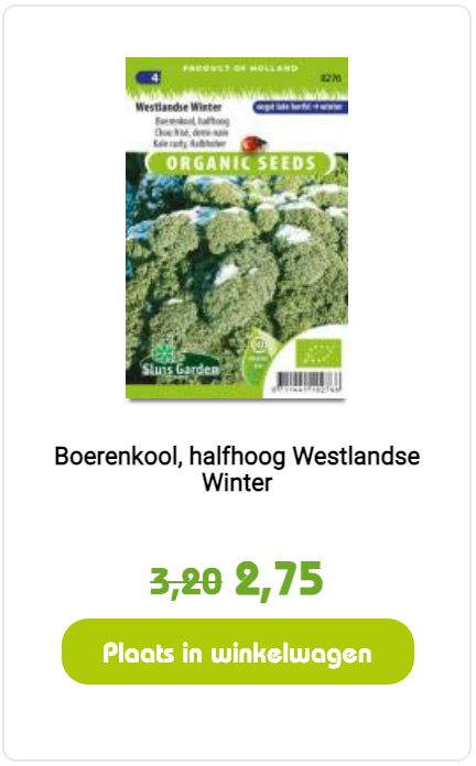 Boerenkool Westlandse Winter