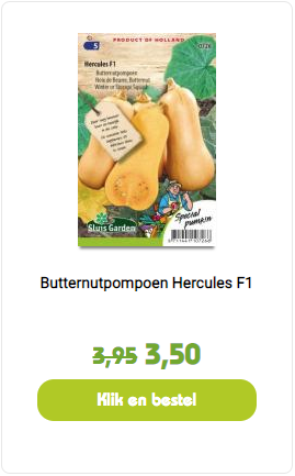 Butternut Pompoen