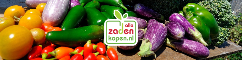 Zaadhandel online