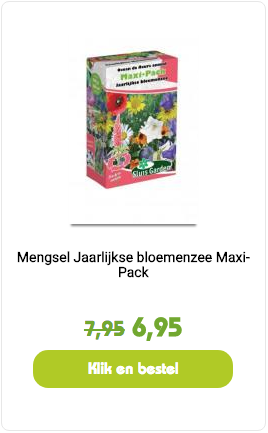 mengsel jaarlijkse bloemenzee maxi pack