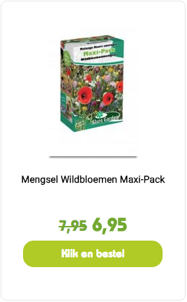 mengsel wildbloemen maxi pack