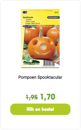 Pompoen Spooktacular