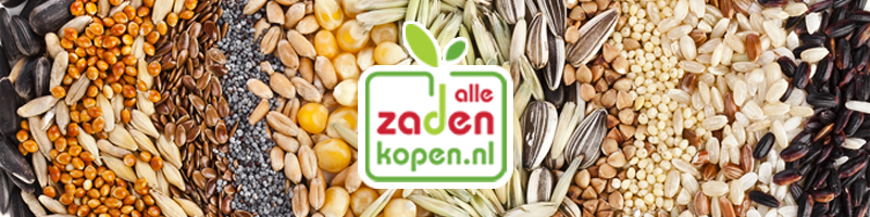 Online zaad kopen