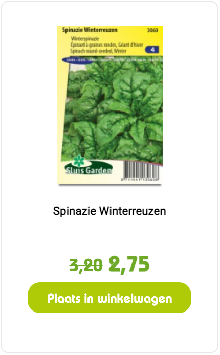 Spinazie winterreuzen